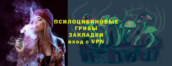 прущая мука Арсеньев