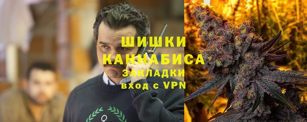 гидра Армянск