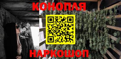 шишки Сланцы