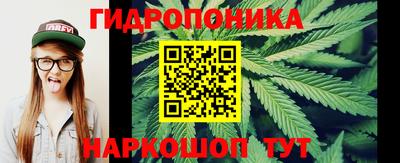 шишки Сланцы