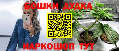 шишки Сланцы
