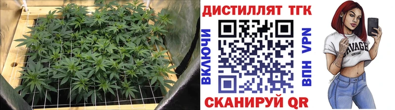 ТГК THC oil Белогорск