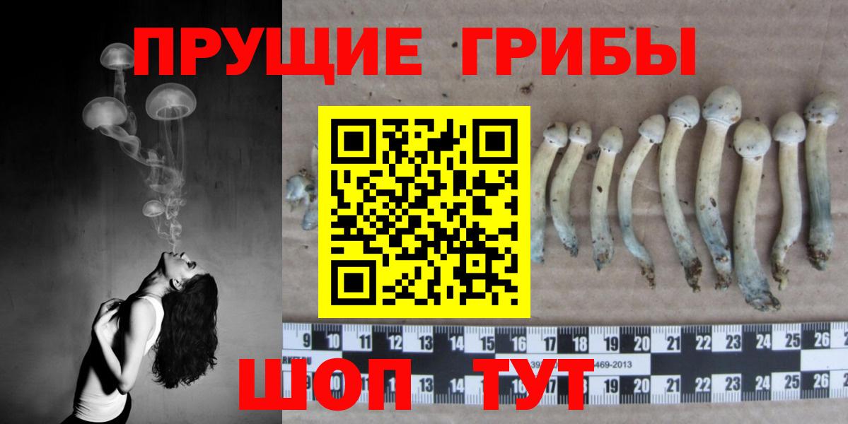 Галлюциногенные грибы Magic Shrooms  Вход с VPN  Белогорск 
